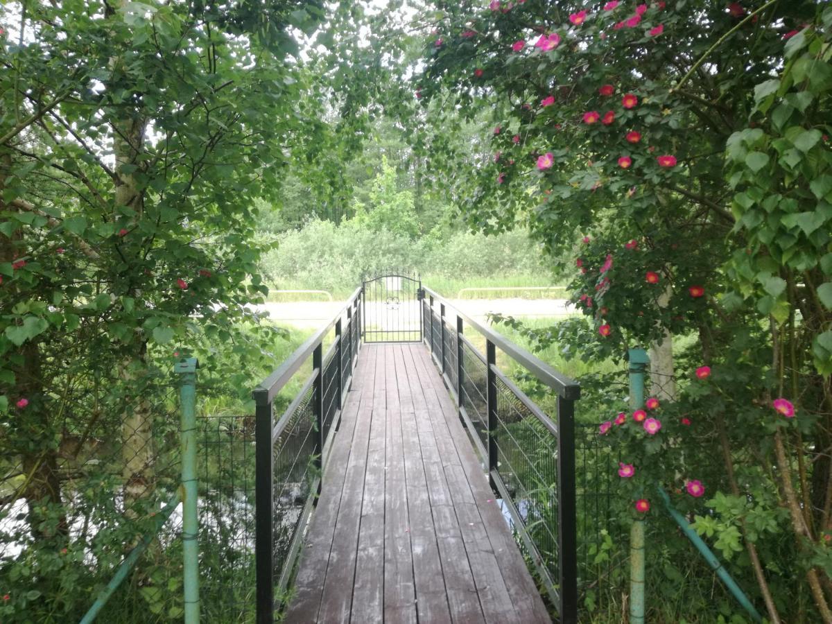 Majka Appartement Dębki Buitenkant foto